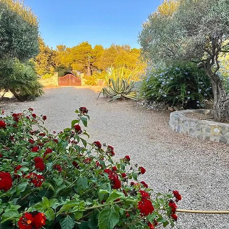 Maison De - Calvi Lumio (Corsica)