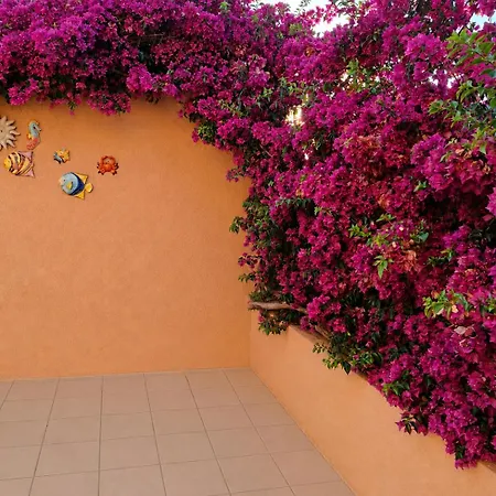 Maison De - Calvi Vila Lumio (Corsica)